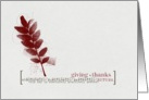 Giving Thanks on Thanksgiving Card