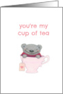 You’re My Cup of Tea Teddy Bear Tea Cup card
