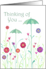 Thinking of You- Whimsical Umbrellas Growing in the Flower Garden card