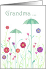 To Grandma on Mothers Day- Umbrellas Sprouting Amongst the Flowers card