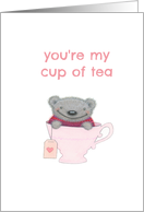 You’re My Cup of Tea Teddy Bear Tea Cup card