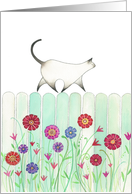 Cat Walking on a Turquoise Picket Fence with Flowers card