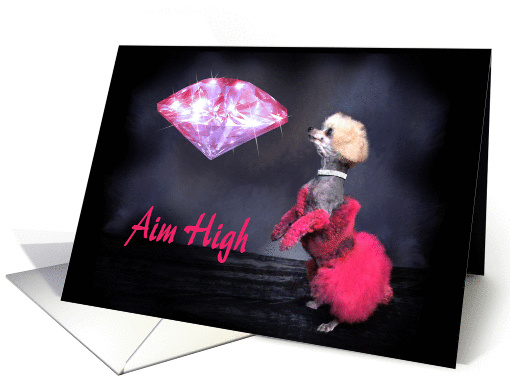 Aim High - Have a Dazzling Birthday! card (1396892)