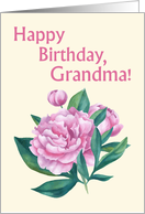 Happy Birthday card for grandmother with watercolor peony card