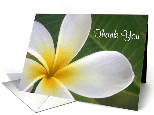 Thank You Mahalo Hawaiian card (1383154)