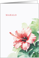 Hawaiian Hibiscus and Monstera Watercolor Tropical Paradise Blank Inside card