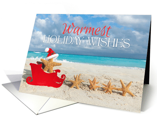 Tropical Beach Starfish Christmas in Hawaii Warmest... (1954504)