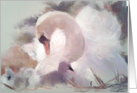 Motherhood Swan in Pastels card