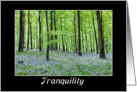 Sympathy-Tranquility-Bluebells in the Woods card
