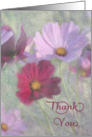 Thank You Cosmos Flowers card