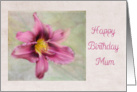 Happy Birthday Mum - British - Burgundy Daylily card