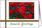 Business Season’s Greetings - Poinsettias card