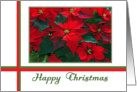 Happy Christmas - Poinsettias card