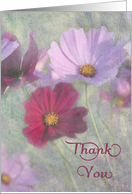 Thank You Cosmos Flowers card