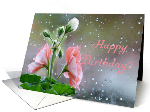 Happy Birthday - Geraniums - Rain Splattered Window card (1390864)