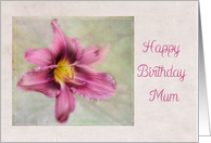 Happy Birthday Mum - British - Burgundy Daylily card