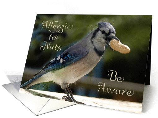 Business, Notification, Nut Allergy - Bird with Peanut card (1397514)