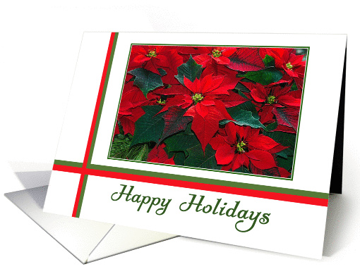 Business Happy Holidays - Poinsettias card (1399340)