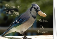 Business Peanut Allergy Notification- Bird with Peanut card