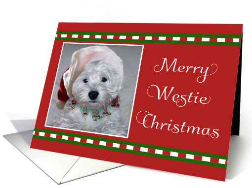 Merry Christmas - Westie With Santa Hat, Westie Christmas... (1400634)