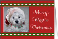 Merry Christmas - Westie With Santa Hat, Westie Christmas Greeting card