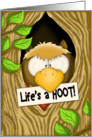 Life’s a HOOT Owl card