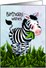 Wild Zebra Birthday Wishes card