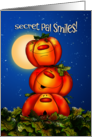 Secret Pal Halloween Moon Pumpkins card