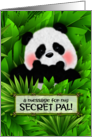 Secret Pal Panda Bear Messenger card