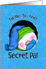 Secret Pal Snowman Hello card
