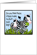 Zebra Talk