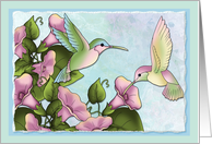 Hummingbird Wishes