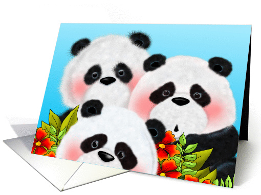 Amazed Pandas card (1387646)