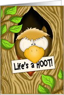 Life's a HOOT Owl