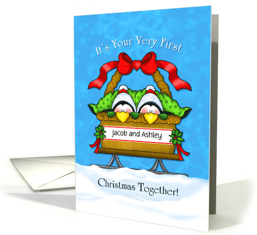 First Christmas Together Penguins Personalized Greeting card (1404296)