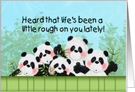 Supportive Pandas Better Days Ahead Encouragement card