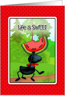 Nice Day Sweet Watermelon Ant card