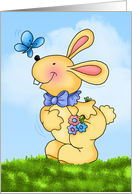 Sunny Bunny Butterfly Cheer card