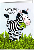 Wild Zebra Birthday...