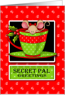 Secret Pal Mouse in...