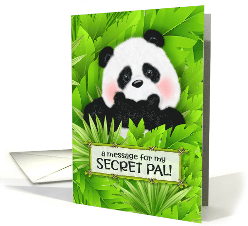 Secret Pal Panda Bear Messenger card (1796838)