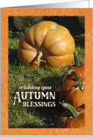 Autumn Wishes Pumpkin Blessings card