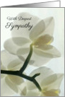 Translucent White Orchid in a Misty Dream - Sympathy, Blank card
