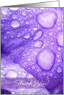 Violet Iris Petals with Morning Dew - Thank You, Blank card