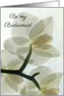 Bridesmaid Invitation Translucent White Orchid in a Misty Dream card