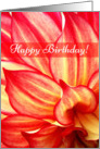 Happy Birthday, Red-Yellow Dahlia card