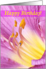 Happy Birthday, Magenta and Yellow DayLily Petals card