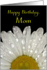 Happy Birthday Mom, Raindrops on Montauk Daisy card