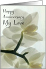 Happy Anniversary, My Love - Translucent White Orchid in a Misty Dream card