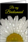 Bridesmaid Invitation - Montauk Daisy card